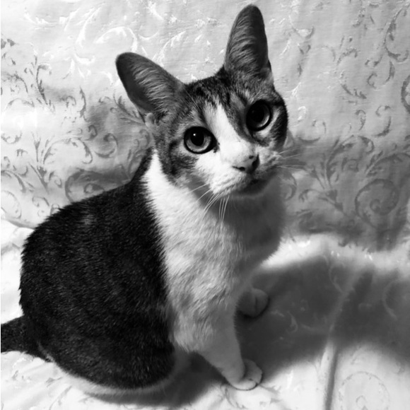 Live Share Shows 🏘️🏘️ Sharing my mine and yours! Sun TueThu 10pm CT. - Picture 1 of 7